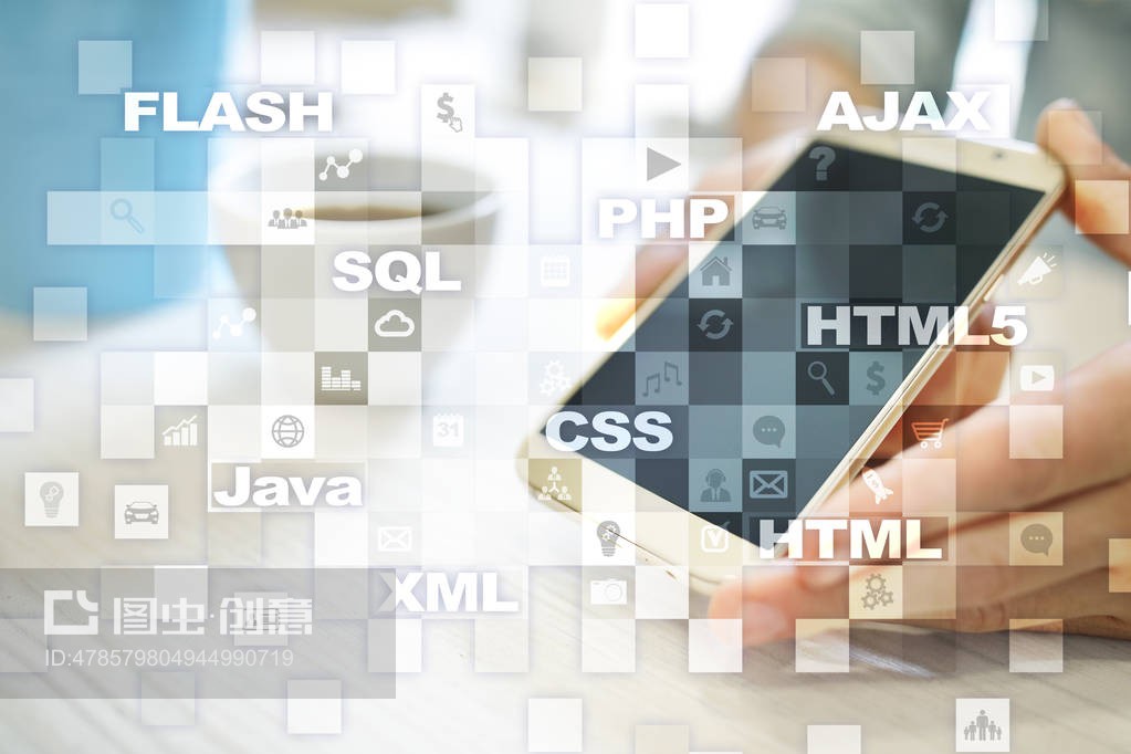 网络开发与编程 互联网时代的核心技术与运营实践